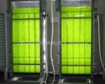 藻类实验室-生物培养光反应器