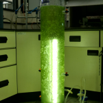 生物培养装置-光反应器