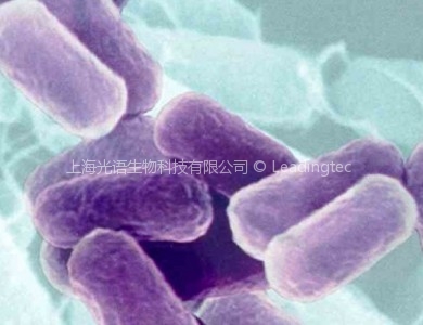 技术中心 | 上海光语生物科技有限公司