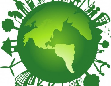 技术中心 | 上海光语生物科技有限公司