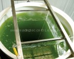 藻类能源研究设备–光生物反应器
