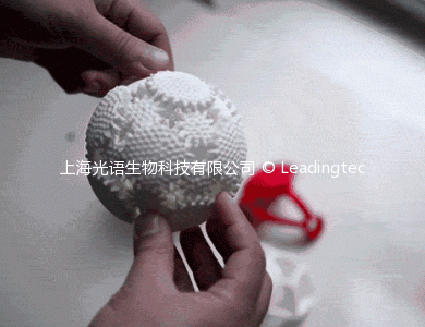 颗石藻仿生设计–3D打印的球形齿轮套件