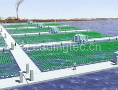 漂浮微藻的能源技术方案