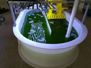 小球藻在跑道池光生物反应器中培养