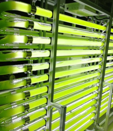 藻类培养管道式光生物反应器