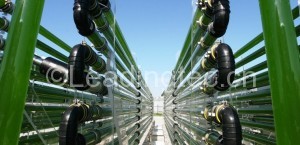 管道式藻类培养光生物反应器