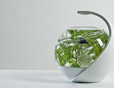 AVO自动清洁鱼缸 特殊LED光照抑制藻类繁殖