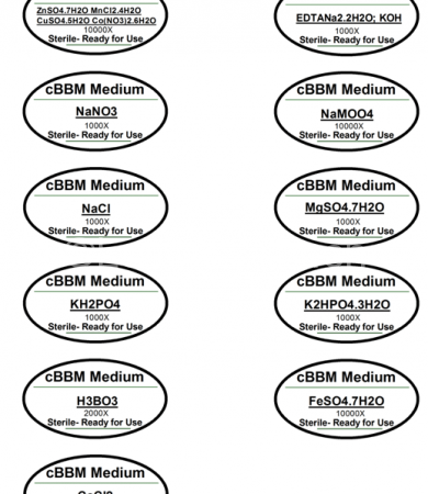 BBM培养基 cBBM培养基