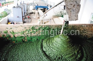 水面蓝藻爆发的处理工序和利用