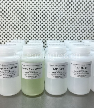 TAP浓缩培养液|培养基|营养液|营养盐
