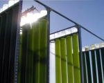 介绍一种新型微藻培养系统在室内硅藻高密度培养中的应用