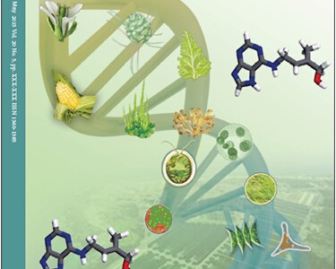 青岛能源所提出基于植物激素的微藻生物技术新观点