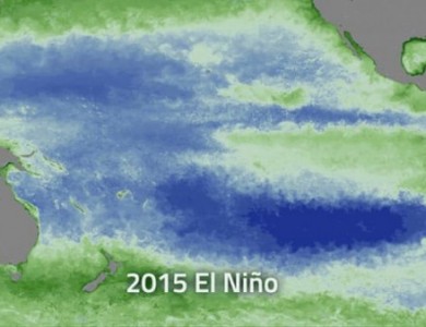卫星数据显示厄尔尼诺现象造成海洋浮游植物数量大幅减少