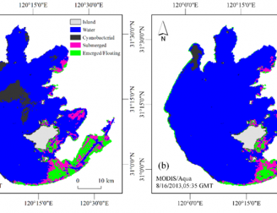 太湖蓝藻水华和水生植被的MODIS卫星同步遥感监测方法研究获进展