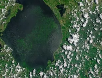 美研究人员开发出有害藻华发生的预警方法