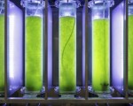 低耗能收藻方便的新型培藻系统