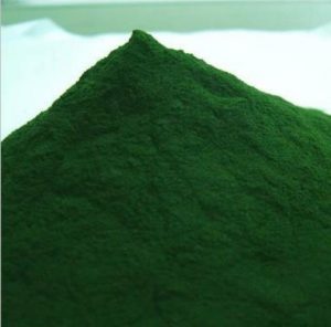 螺旋藻粉 Spirulina powder