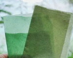 印度尼西亚公司Evoware希望用食用海藻代替塑料包装