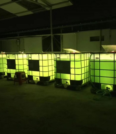 集装桶（吨桶）藻类光合细菌培养装置