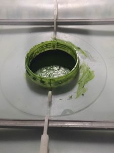 集装桶培养小球藻