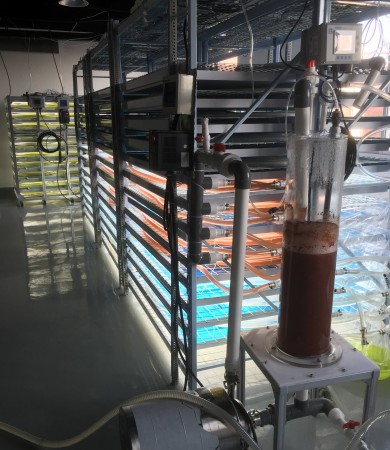 诱导专用管道光生物反应器