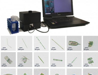 科学家研发便携式藻类检测装置：几秒确认类型和浓度