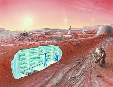 NASA技术：利用细菌和藻类火星造氧气