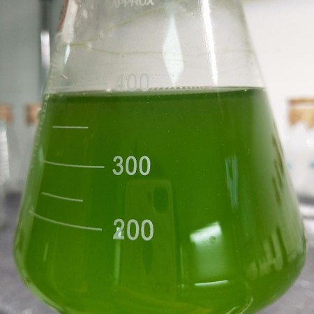水产养殖扩培用小球藻和培养基套装产品