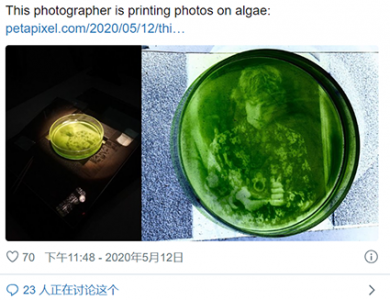 美国研究生新发明在藻类上冲印出照片