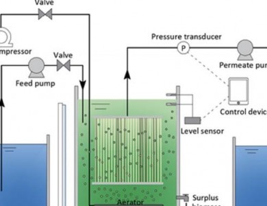 膜式光生物反应器（MPBR）：基于微藻养殖的污水处理技术