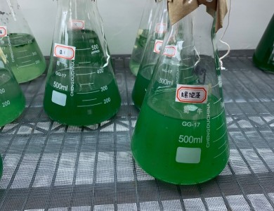 你不知道的微藻价值：中国首发的临床营养用药，源自螺旋藻