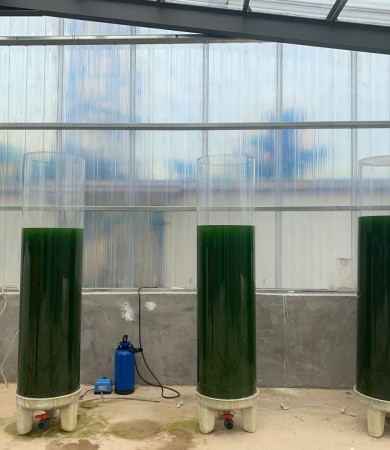 透明大管径有机玻璃柱状光生物反应器