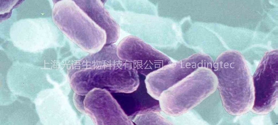 光合细菌 Photosynthetic Bacteria PSB