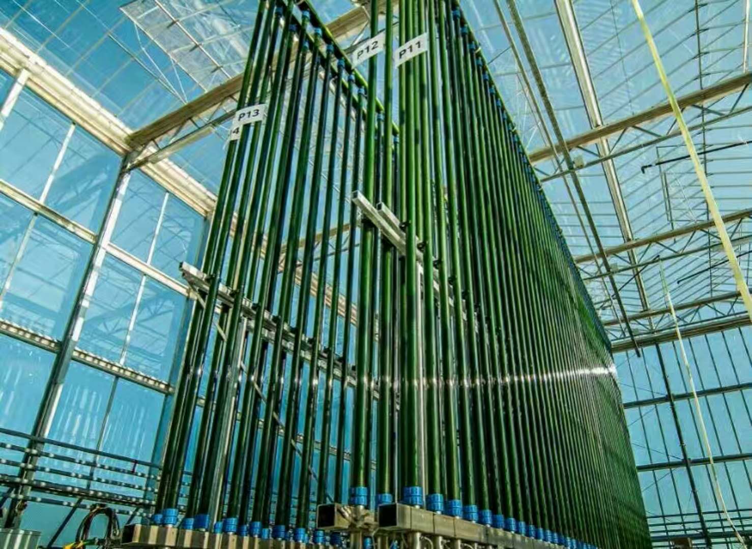 柱状微藻光生物反应器