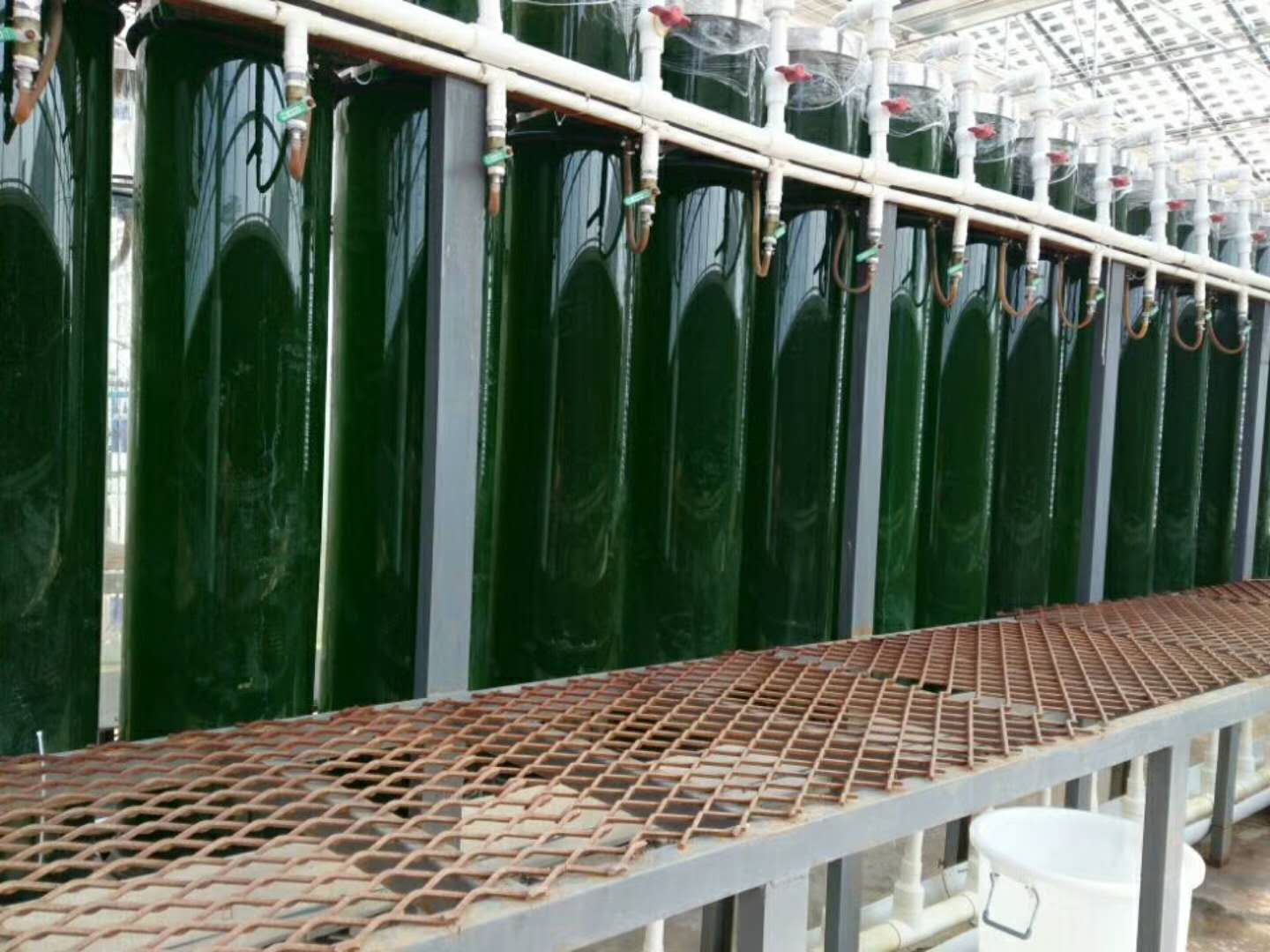 微藻光生物反应器