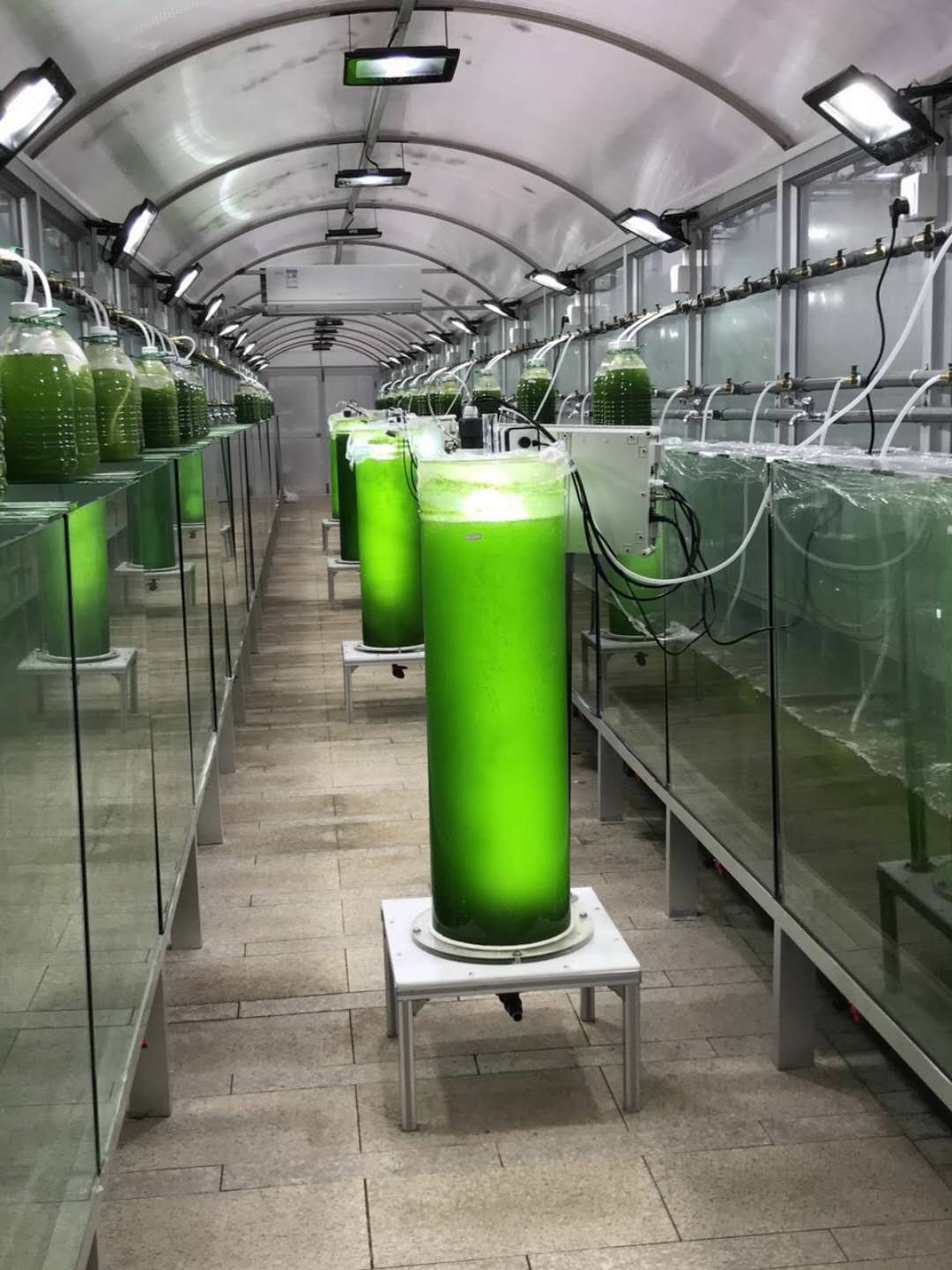 微藻光生物反应器