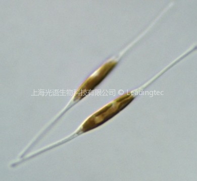 四角形改为了六角形