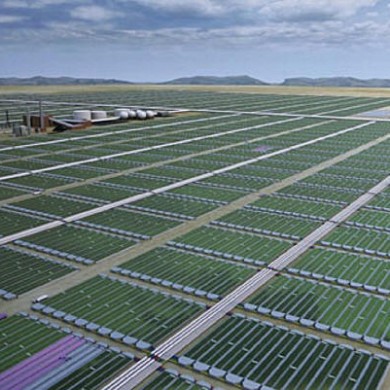 自动控制设备-光生物反应器推进微藻能源商业化生产