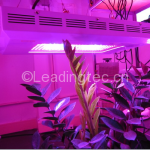 蓝光实验室LED植物灯