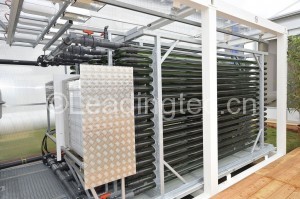 管道式藻类培养光生物反应器