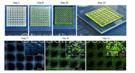 藻类细胞3d打印