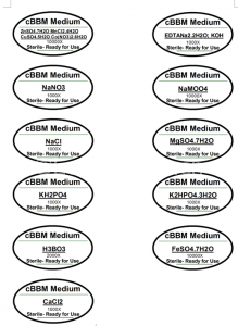 cBBM培养基