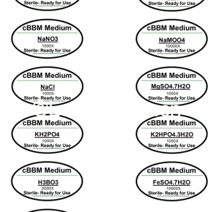 cBBM培养基