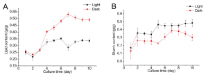 生长在葡萄糖培养基中小球藻在光照及非光照情况下细胞油脂及淀粉含量随时间变化图