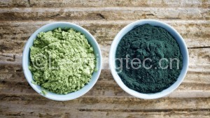 algae-supplements-in-bowls_h