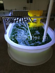 实验室跑道池反应器养藻装置