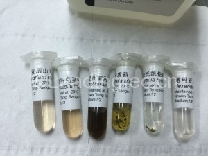 4-添加1毫升RNAlatter重悬细胞_2