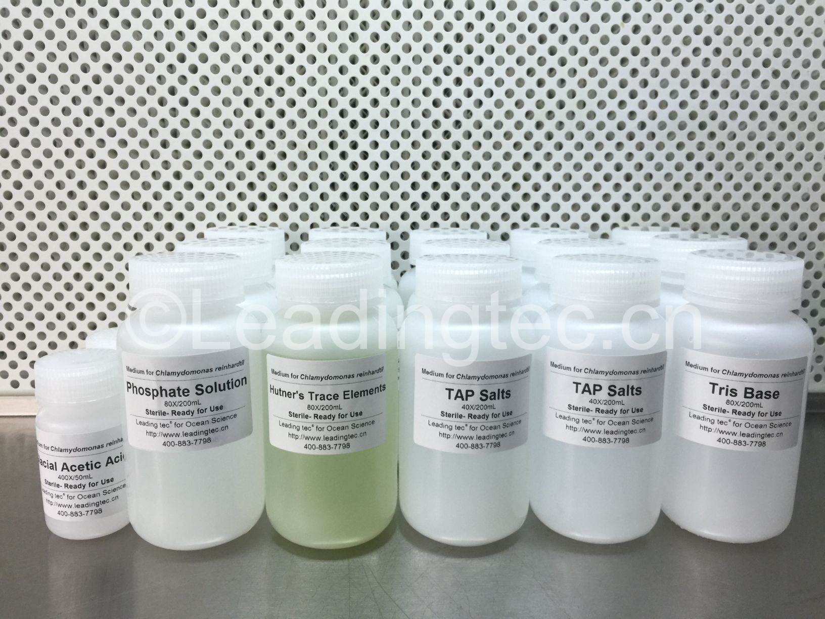 TAP浓缩培养液|培养基|营养液|营养盐