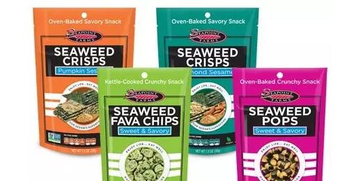 海藻,很可能成为未来的超级食品。