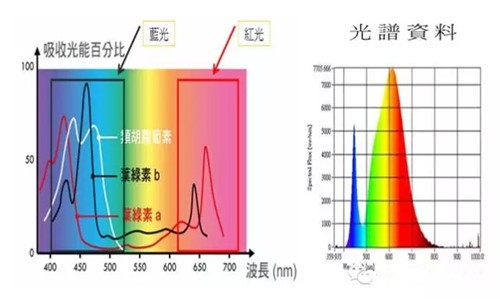 植物光合作用光谱